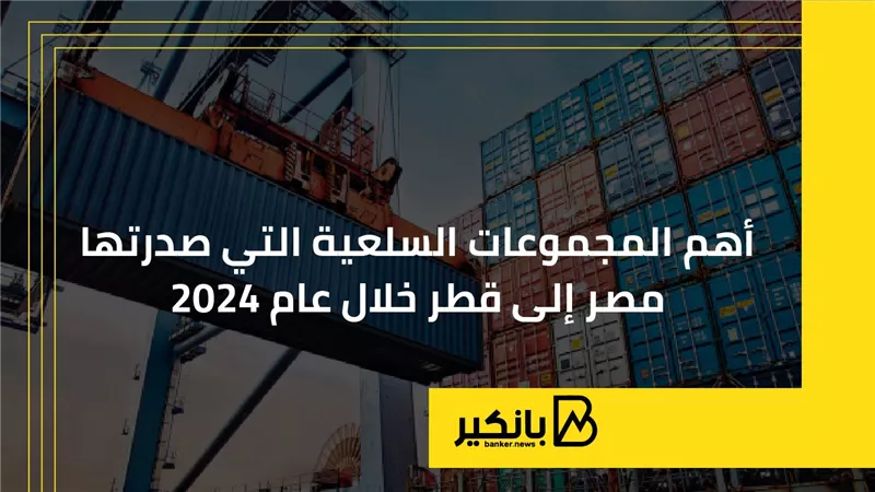 أهم المجموعات السلعية التي صدرتها مصر إلى قطر خلال عام 2024 | إنفوجراف