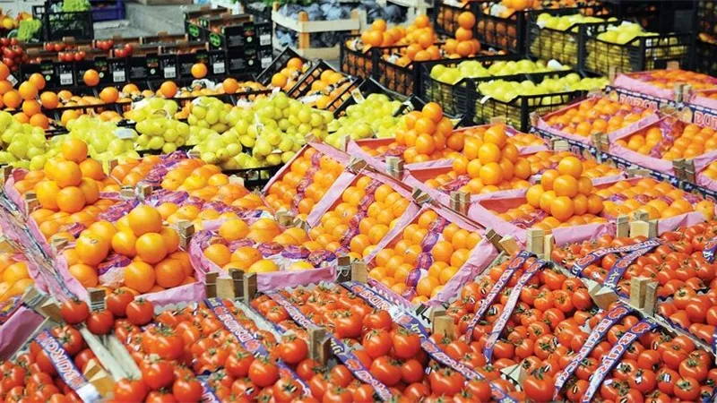 أهم الصادرات الزراعية المصرية في الربع الأول من عام 2025