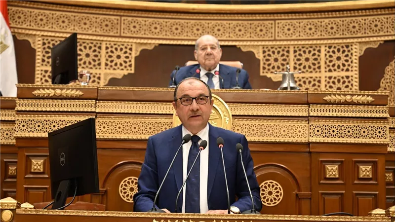 وزير قطاع الأعمال: نعمل على تعزيز تنافسية الشركات وزيادة مساهمتها في الاقتصاد الوطني