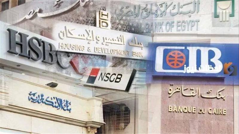 أرباح البنوك المصرية تقفز إلى 601.6 مليار جنيه في 2025 بدعم نمو الأصول والودائع