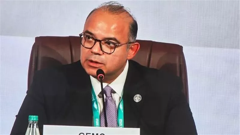  رئيس الرقابة المالية: تطوير الأطر التنظيمية والرقابية للبورصات لتعزيز المرونة بالأسواق النامية والناشئة