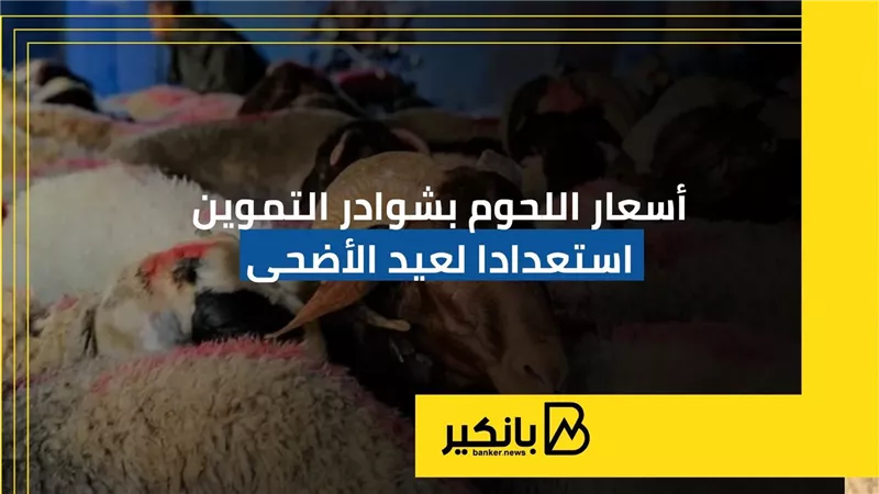 أسعار اللحوم بشوادر التموين استعدادا لعيد الأضحى | إنفوجراف