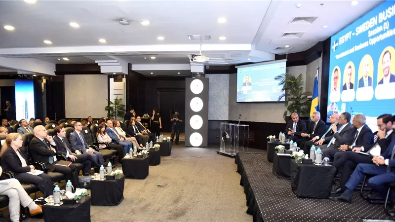 سويد فند: طرح أدوات جديدة لتمويل التنمية في مصر خلال الفترة المقبلة