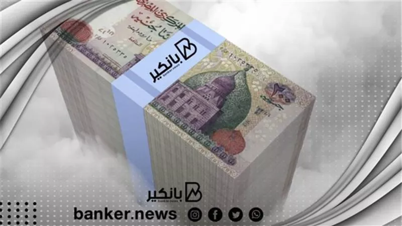 برنامج تمويل موظفي البنوك من بيت التمويل الكويتي - مصر.. وسدد على 12 سنة