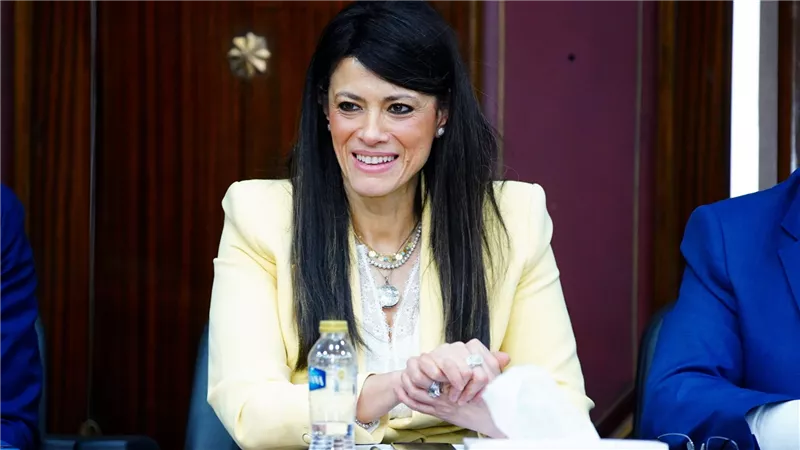 المشاط: مشروع قانون الشركات المملوكة للدولة يؤكد عزم الحكومة على إفساح المجال للقطاع الخاص