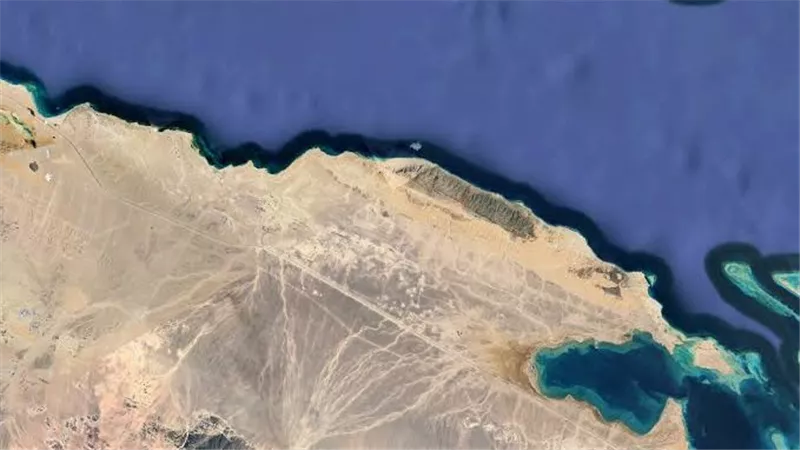 أحمد كجوك وزير المالية