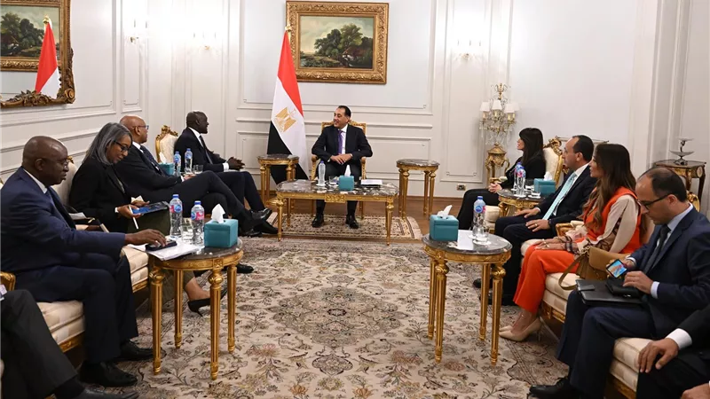مدبولي يبحث مع مؤسسة