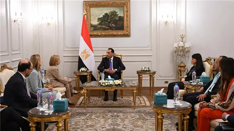 لقاء رئيس الوزراء