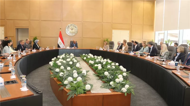 وزير الكهرباء ونائبة