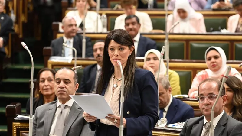 الدكتورة رانيا المشاط