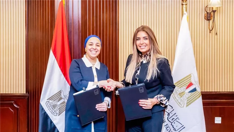 البنك المركزي المصري ومؤسسة 