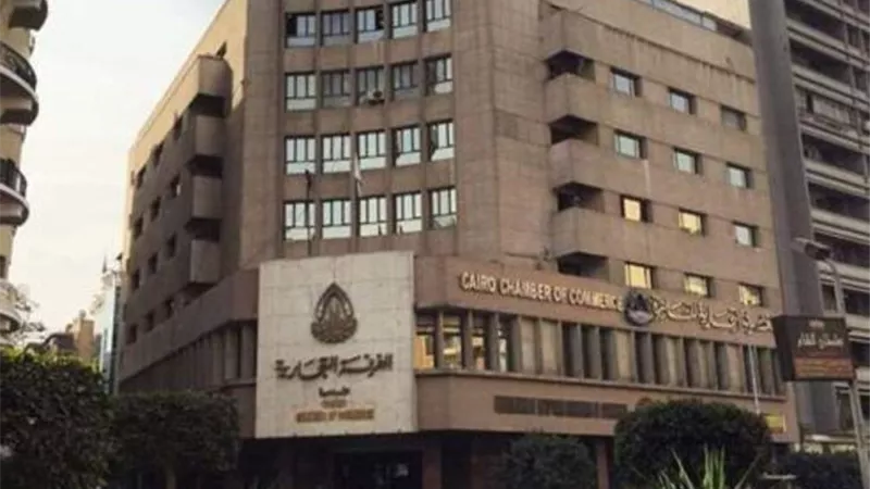 شعبة الأدوات الصحية: دعم الدولة للصناعة أحدث تحولًا جذريًا وزاد الاعتماد على المنتج المحلي
