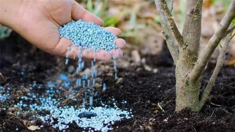 نظام جديد لتوزيع الأسمدة المدعمة في مصر.. اعرف التفاصيل