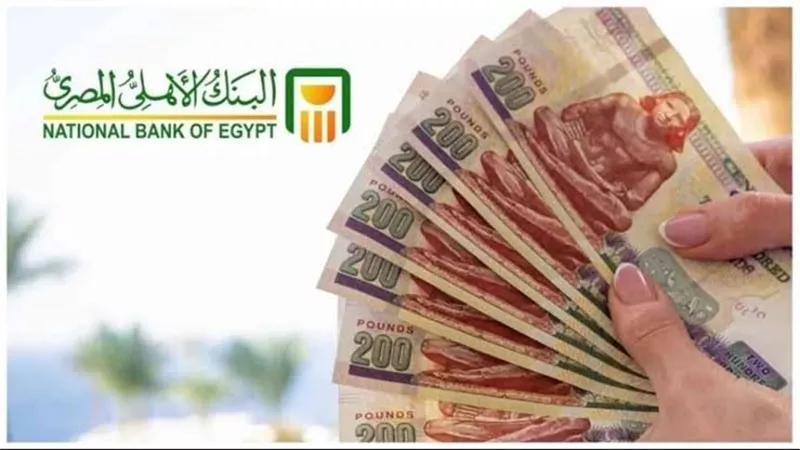 بعائد يصل إلى 18.75%.. كل ما تريد معرفته عن الحساب اليومي من البنك الأهلي 