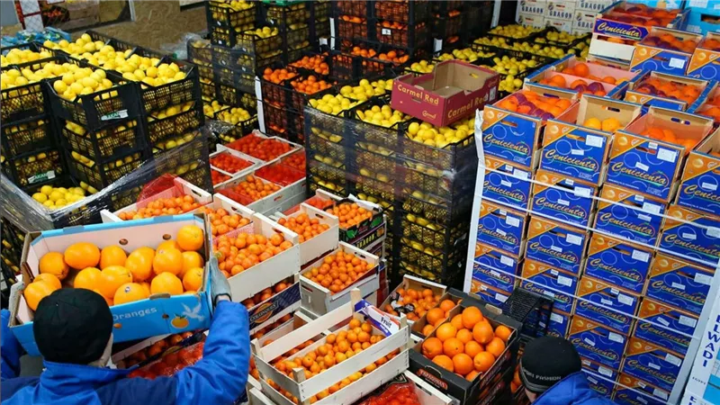الصادرات الزراعية المصرية تصل إلى 167 دولة.. الجودة تفتح أبواب الأسواق العالمية