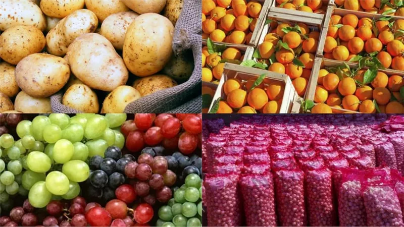 نموا بنسبة 23%.. تحول جذري في خريطة الصادرات المصرية.. الذهب في الصدارة والحديد يتراجع