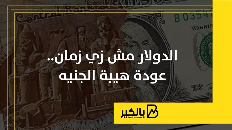الدولار مش زي زمان.. عودة هيبة الجنيه