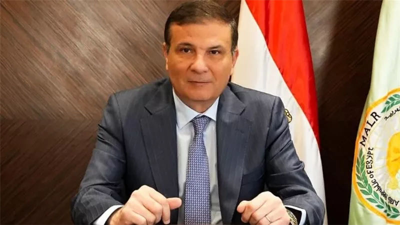 إنجاز غير مسبوق: زراعة القطن في صحراء جنوب سيناء لأول مرة