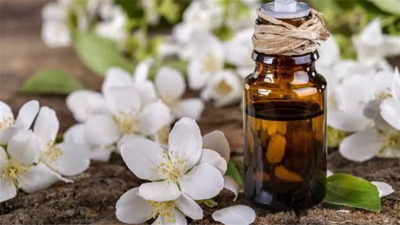 المورد الأكبر للياسمين.. كيف تسيطر مصر على صناعة العطور في العالم؟