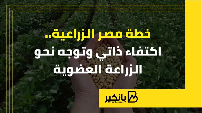 خطة مصر الزراعية.. اكتفاء ذاتي وتوجه نحو الزراعة العضوية | إنفوجراف