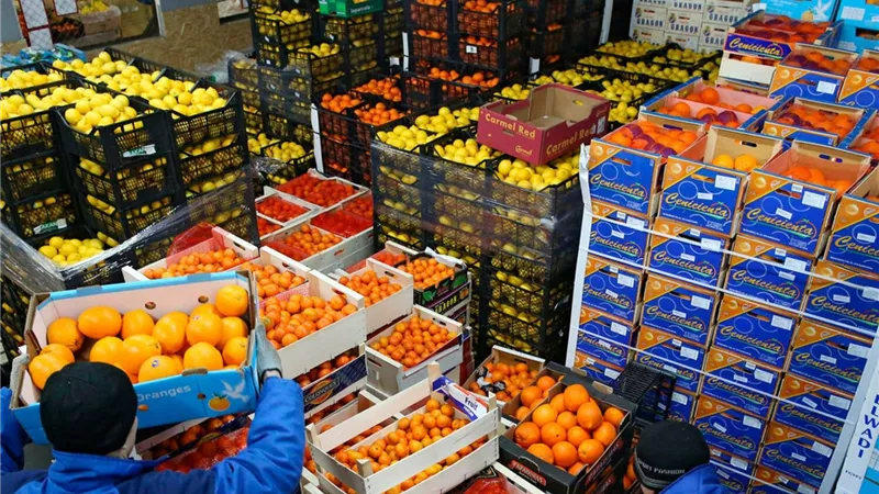 قفزة 10.5%.. صادرات الصناعات الغذائية تحقق رقمًا قياسيًا خلال النصف الأول من 2026