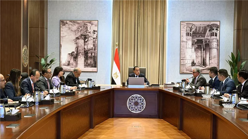 مدبولي:100 مليون دولار استثمارات صينية لإنشاء مصنع مكونات الطاقة الشمسية