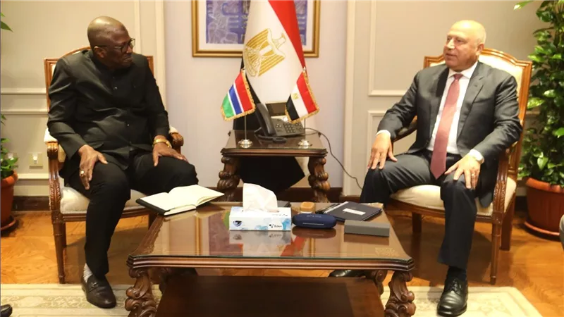 وزير الصناعة والنقل يبحث مع الجانب الجامبي فرص الاستثمار والتطوير الصناعي