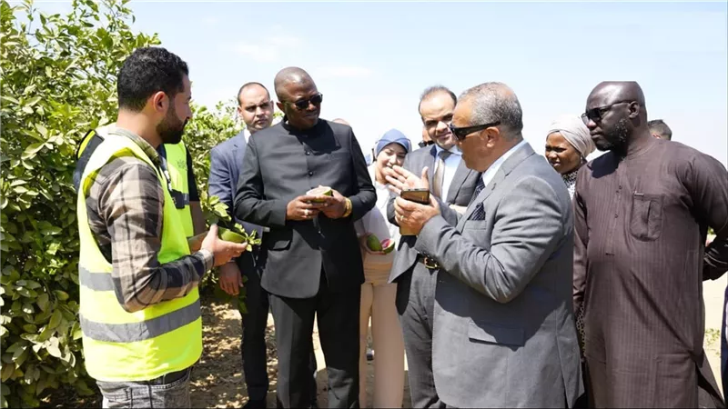 الوفد الجامبي: التجربة المصرية في استصلاح الأراضي نموذج رائد للقارة الإفريقية