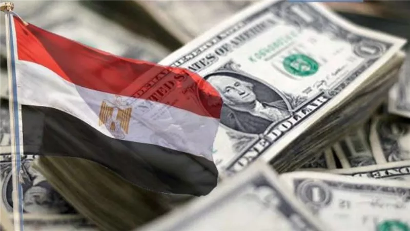 برنامج الطروحات الحكومية.. قبلة حياة جديدة للاقتصاد المصري لجذب رؤوس الأموال الأجنبية