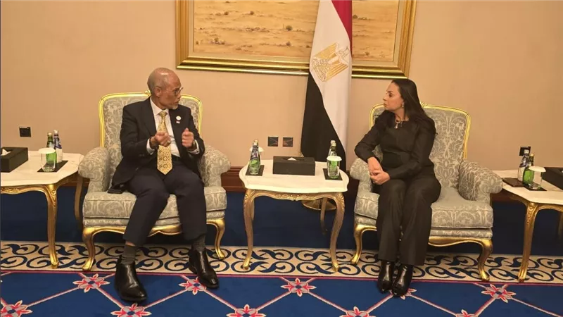 مايا مرسي: تعاون “مصري–سنغافوري” لتطوير برامج الطفولة المبكرة واقتصاد الرعاية