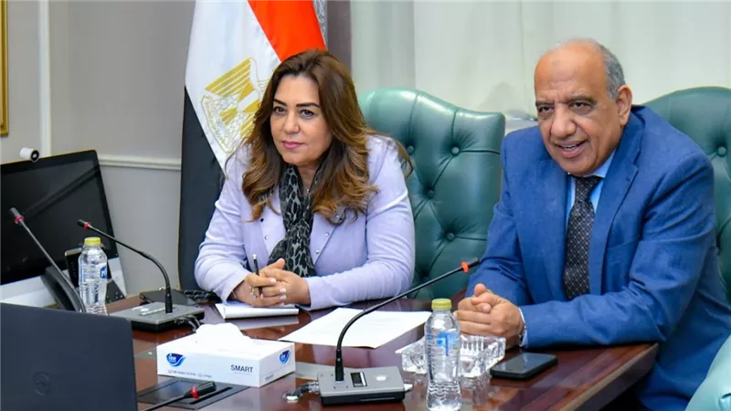 وزيرا الكهرباء والطاقة المتجددة والتنمية المحلية يبحثان التعاون البيئي والطاقات المتجددة في مصر