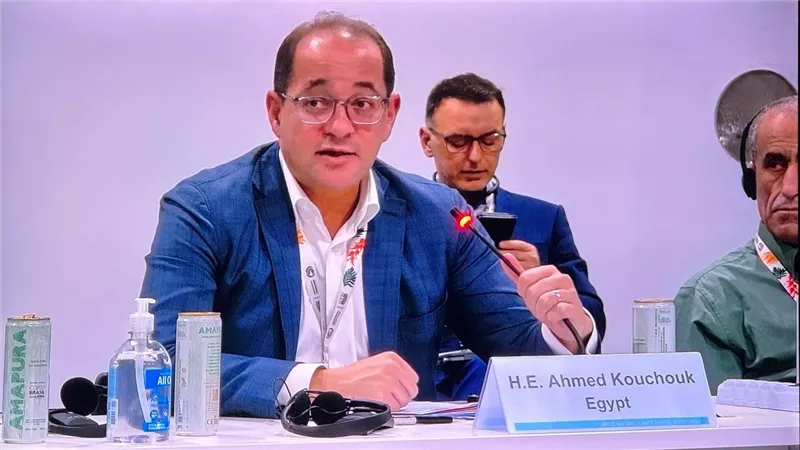 كجوك: نتطلع لزيادة المؤسسات الدولية التمويلات الخضراء الميسرة  لدفع التنمية المستدامة بالدول النامية 