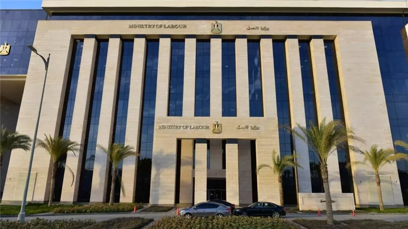 «العمل» تعلن 4202 فرصة عمل جديدة في 14 محافظة بالتعاون مع القطاع الخاص