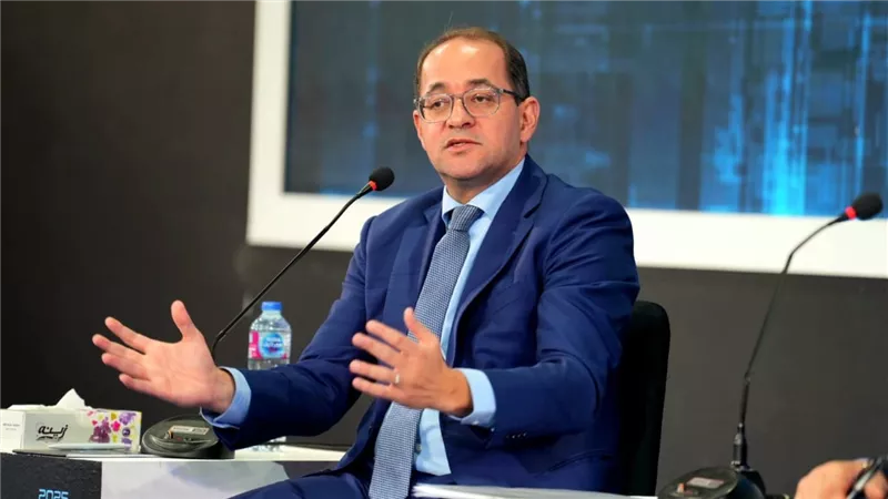 وزير المالية: مصر تستعد لنقل تجربتها الضريبية إلى دولتين عربيتين