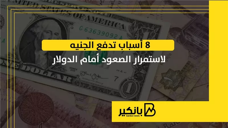 8 أسباب تدفع الجنيه لاستمرار الصعود أمام الدولار | إنفوجراف 