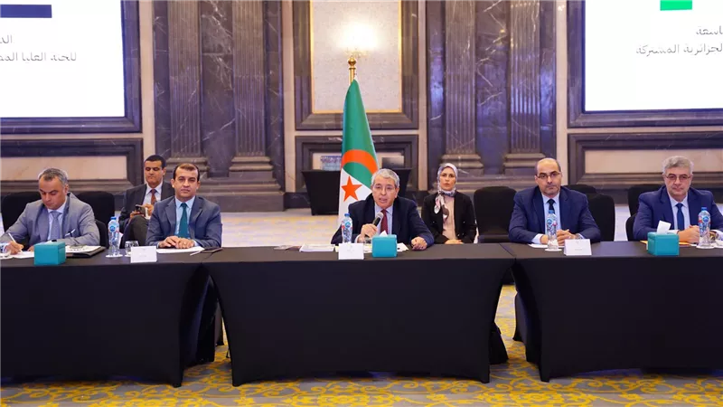 بمشاركة 50 جهة، انعقاد الاجتماعات التحضيرية على مستوى الخبراء للجنة العليا المصرية الجزائرية