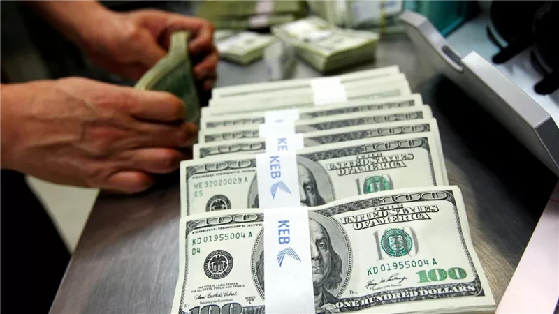 سعر الدولار في مصر