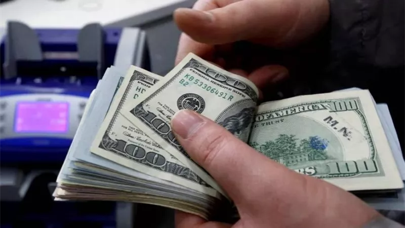 سعر الدولار في مصر