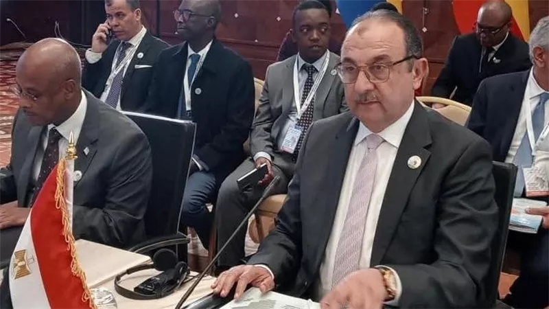 المهندس محمد شيمي
