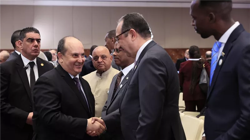 وزير قطاع الأعمال