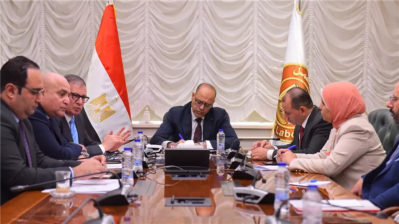 وزير العمل يبحث مع التأمينات الاجتماعية توسيع مظلة الحماية للعاملين