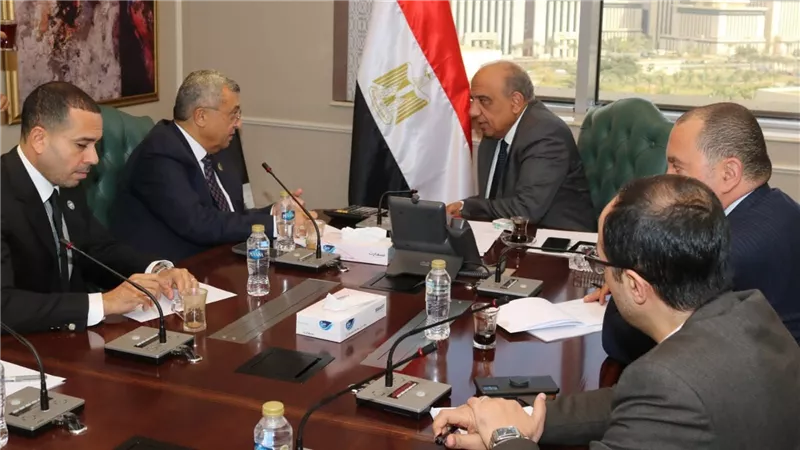 محمود عصمت: وإتاحة الكهرباء بجودة واستمرارية لكافة الاستخدامات ضمن خطة الدولة للتنمية المستدامة 