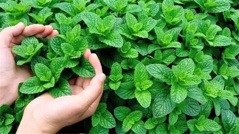 أرقام قياسية مفاجئة.. هكذا سيطر 