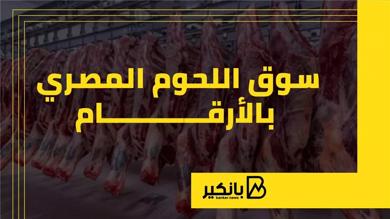 سوق اللحوم المصري بالأرقام