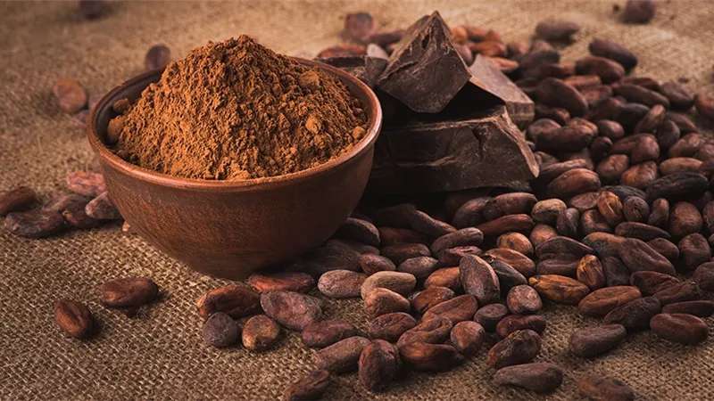 انهيار أسعار الكاكاو يضغط على أكبر شركة شوكولاتة في العالم
