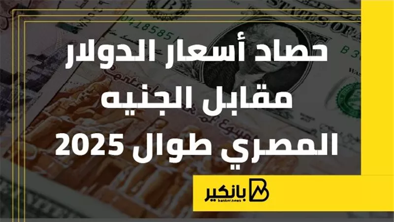 حصاد أسعار الدولار مقابل الجنيه المصري طوال 2025 | إنفوجراف