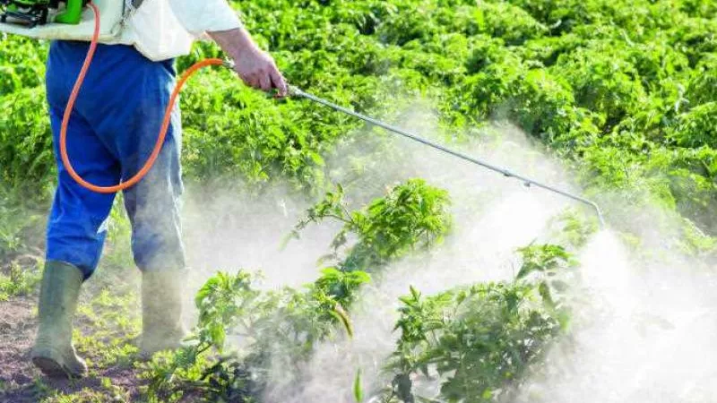 خطة محكمة لضبط سوق المبيدات ودعم الصادرات الزراعية في 2025