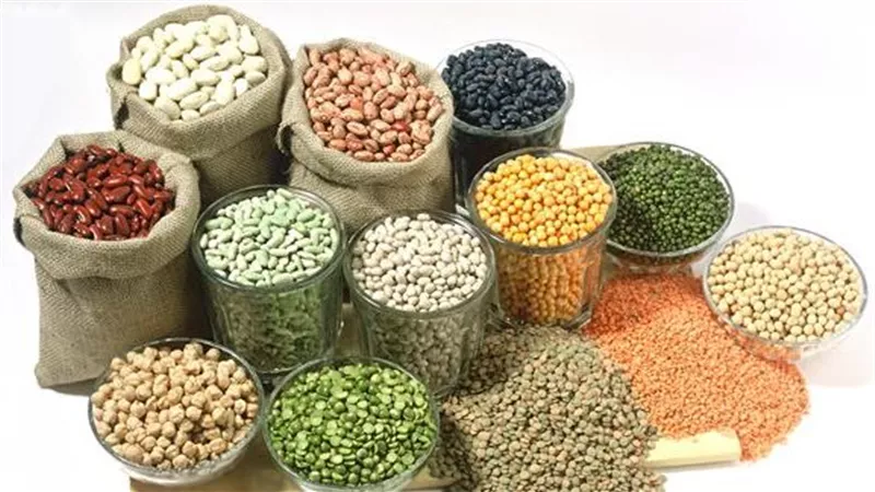 غرفة صناعة الحبوب: 40% انخفاضا في أسعار البقوليات