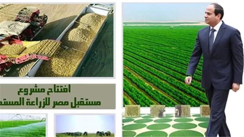مصر نحو الاكتفاء الذاتي.. كيف يعمل جهاز مستقبل مصر ووزارة الزراعة يداً بيد لتأمين غذاء 120 مليون مواطن؟