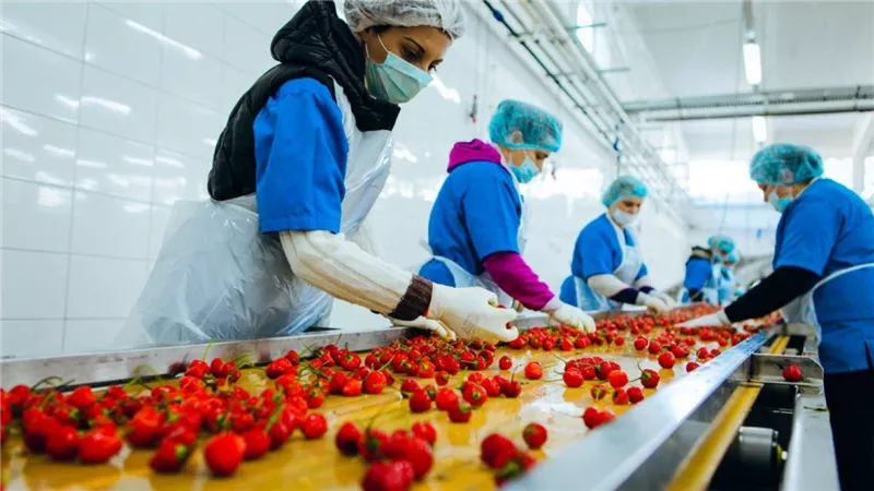المجلس التصديري للصناعات الغذائية: صادرات القطاع ترتفع 12% خلال 2025